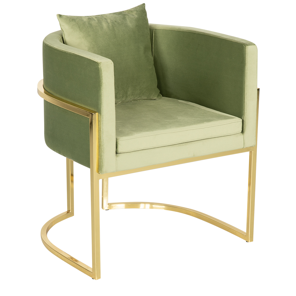 CAROL D11